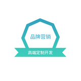 品牌营销型网站建设